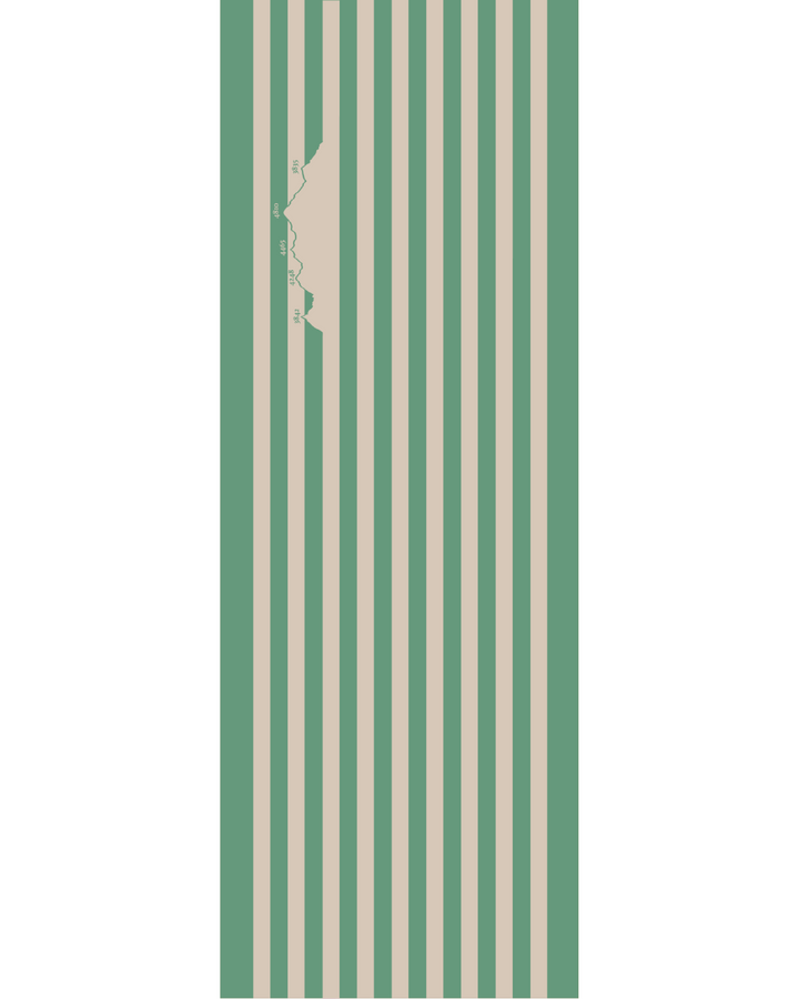 Toile transat prêt à poser chilienne "Standard" ou "Prestige" Vert-sable
