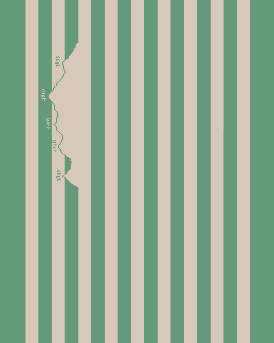 Toile transat prêt à poser chilienne "Standard" ou "Prestige" Vert-sable