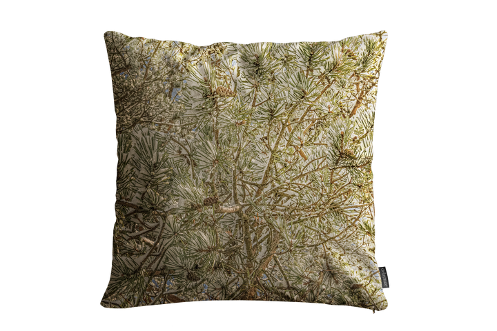 Housse de coussin décoratif pour l'intérieur "Mont Veyrier" (45x45cm)