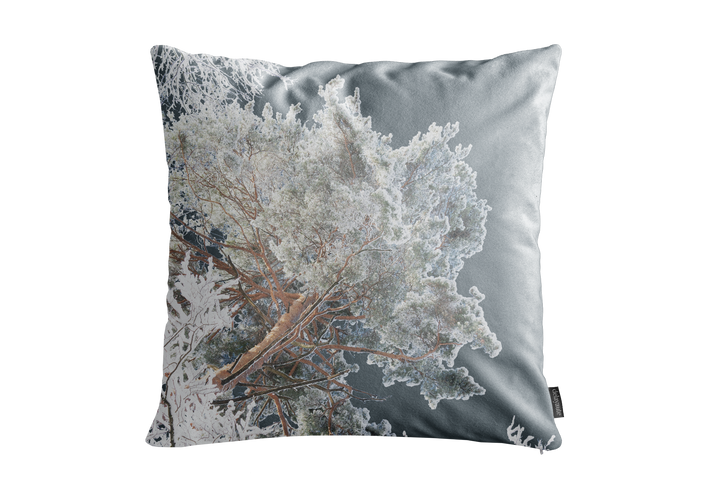 Housse de coussin décoratif pour l'intérieur "Le Semnoz, 2" (45x45m)